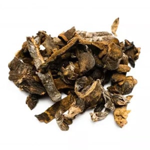 Funghi Seco – 100g