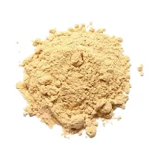 Gengibre em Pó – 100g