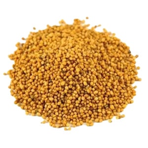 Mostarda Amarela em Grãos – 100g